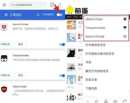 kiwibrowser应用-kiwibrowser安全下载v124.0.6327.4