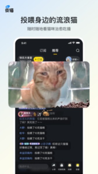 哈啰街猫手机app-哈啰街猫稳定版下载v1.22.5