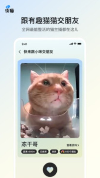 哈啰街猫手机app-哈啰街猫稳定版下载v1.22.5